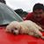 Martin Gerardo Garcia Castro's profile image