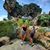 Sandra Bourque's profile image