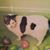 Cathy Nau's profile image