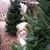 John Bedard's profile image