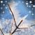 Susan-Tim Rex's profile image