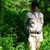 James Sharkey's profile image
