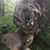 Jeffrey Kristy Yarbro Floyd's profile image