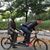 Michael Walck's profile image