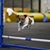 Thomas McGlone's profile image