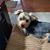 Kathy Shoemaker's profile image
