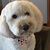 Susy Kaser's profile image