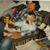 Mandy Mokler's profile image