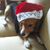Mary McGregor Warren's profile image
