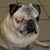 Marvin Jay Philliber's profile image