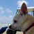 Mandy Kuhns's profile image