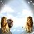Mokhtar Massaoud's profile image