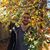 Sam Crookston Herschlag's profile image