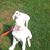 Joanne Morgan's profile image