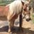 Gail Schendel's profile image
