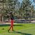 Darcy Maciel's profile image