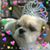 Paula Michael's profile image