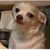 Cathy Iverson's profile image