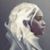 Jessica Pagoaga Couser's profile image