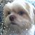 Esty Couto's profile image
