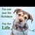 Shannon Craig Morgan's profile image