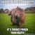 Michelle Peverelle's profile image