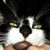 Christine Janus's profile image