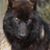 Mark Hyer's profile image