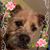 Paula Bitter Mierop's profile image
