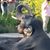 Toni Hughes's profile image
