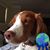Ray Shannon's profile image