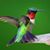 Ann Koutrouba's profile image