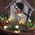 Jacqie Watts O'Meara's profile image
