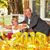 Donna Kay Kaltenbach's profile image