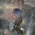 Douglas Broadbent's profile image