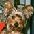 Carolyn Jones's profile image