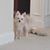 Lisa Johnson Richards's profile image