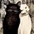 Jeri Jo Fifer's profile image