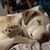 Chrissy Latourelle Allen's profile image