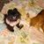 Judy Bogart's profile image