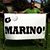 Fran Marino's profile image