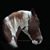 Gina S Thomas's profile image