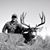 Dylan Dowson's profile image