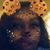 Lexi Harris's profile image