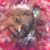 Gaye Smith's profile image