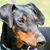 Kathy Farrell's profile image