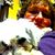 Linda Lamb's profile image