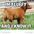 Debi Domby's profile image