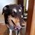 Michael Vaughn's profile image