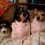 Carol Jackson's profile image
